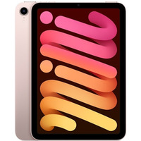 iPad mini Wi-Fi 64GB - rowy