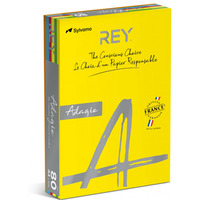 Papier ksero REY ADAGIO, A4, 80gsm, mix kolorów intens, *RYADA080X906 R200, 5x100 ark