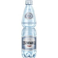 Woda Cisowianka, gazowana, butelka plastikowa, 0, 5l, kaucja